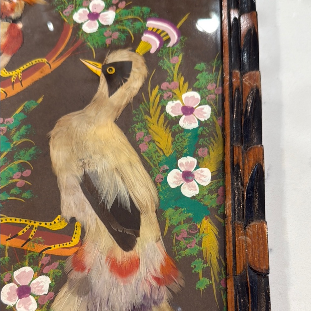 1950’s Mexican Feather Art Picture with Birds in wooden frame - Picture 3 of 8